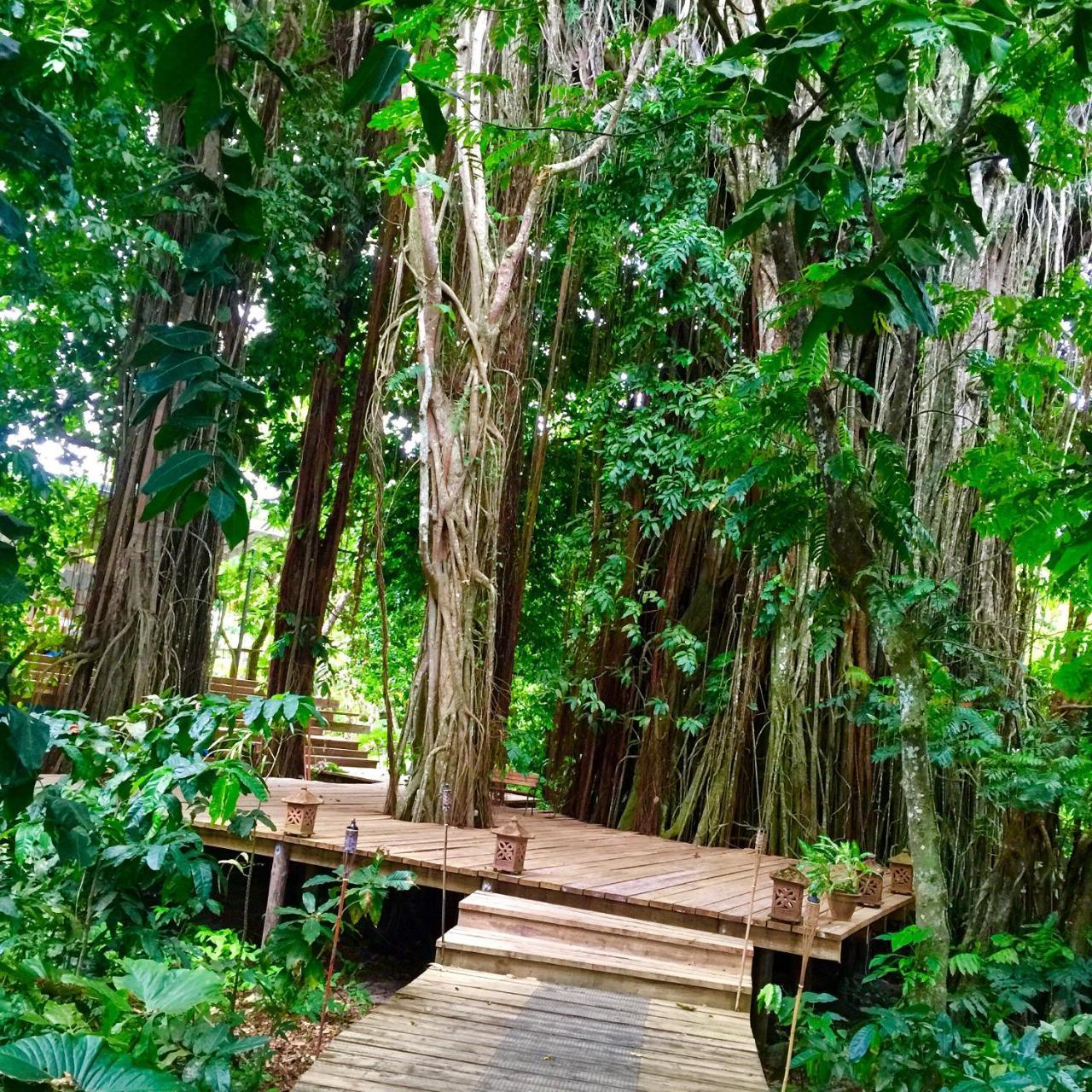 Matanivusi Beach Eco Resort Serua Buitenkant foto